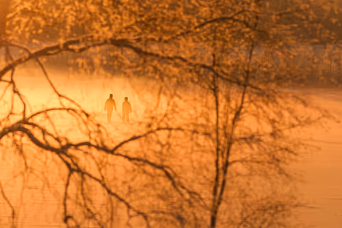 Item #53532806871377414762002313046978113508138147467496899965601038679913667756033 Media