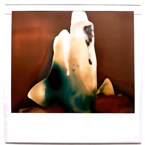 Untitled Collection #14198826