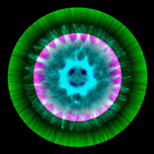 Item #51929734946411346289540790635765095060363125039145709683616697021017775669249 Media