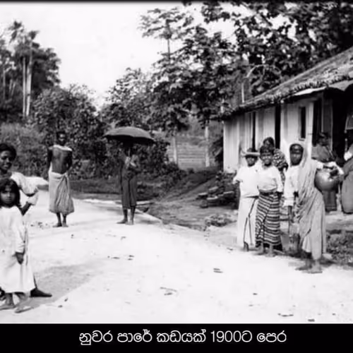 SL Transport #14