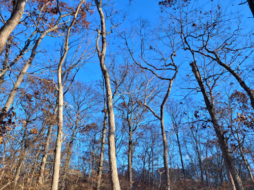 Item #34085441569699423005310991372941828806155687762378495952169943209870452850689 Media