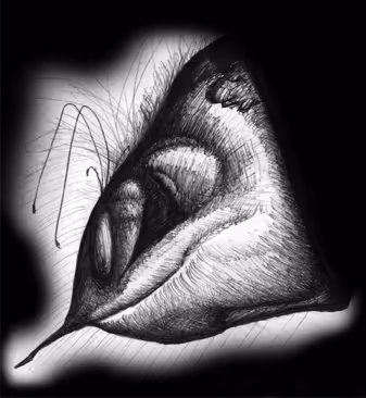 Item #83408267508132833456682495211820804283305655612987816864939849091047030259713 Media