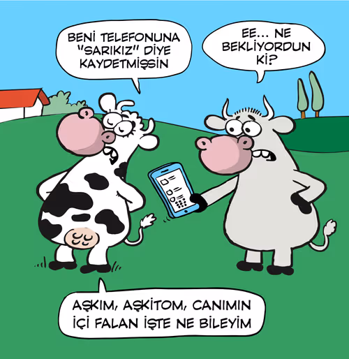 Item #69122917727831532385618958158964921467633342400804643146613699108401909334017 Media