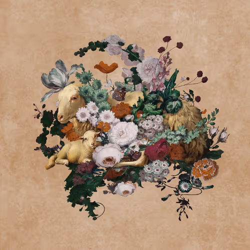 Item #19059656102330521028979974538211481296482323844077477318954795421448785625089 Media