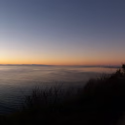 Monterey Bay January 2015 sunrise with moon through trees