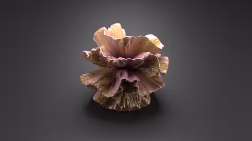 Item #54162300568103725826343189831171959365021078669884134013916714336659005505537 Media