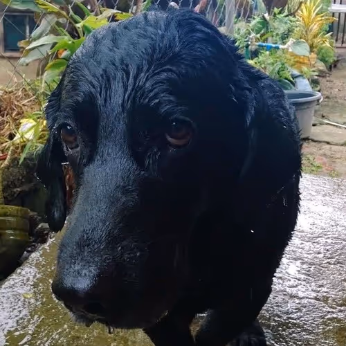 Item #54755554421739226263661144219569690916580989766484493832572188107676000976897 Media