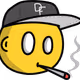 80788272346875091028699960362476057132828509662482086480551067301574447464449