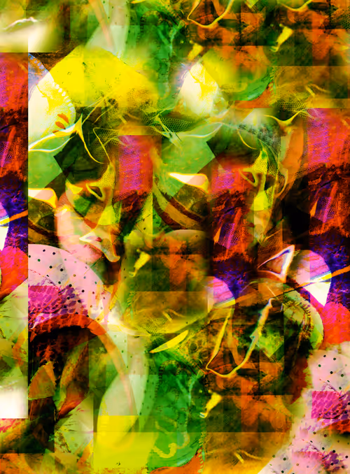 Item #74321580699693805405400531737243136428970360100331586117131674722728174157825 Media