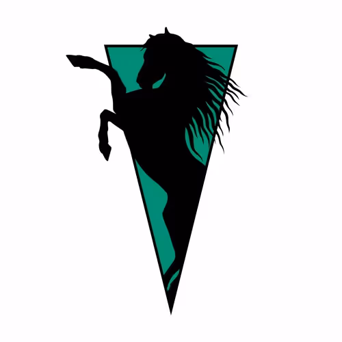 Item #45437095290256185892103035028109754315277839602857334948534242554632535539713 Media