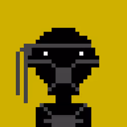 The lost Ninja #200