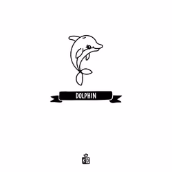 Dolphin Doodle