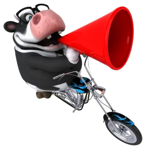 Item #62670295139168213678470007511008098204612410570373934352753128691172806492260 Media