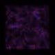 12032733712256437664215437925069129638151898554142308319368358969716194148353