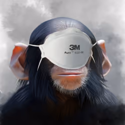 Just One Wise Monkey - Eyes