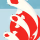 Koi Collection