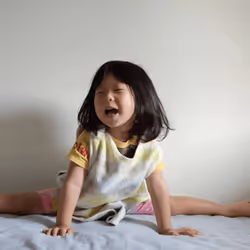 99211312984230731835507121098592635770633058584751069088431344211553981300737