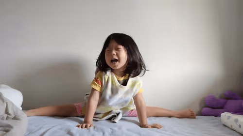 Item #99211312984230731835507121098592635770633058584751069088431344211553981300737 Media