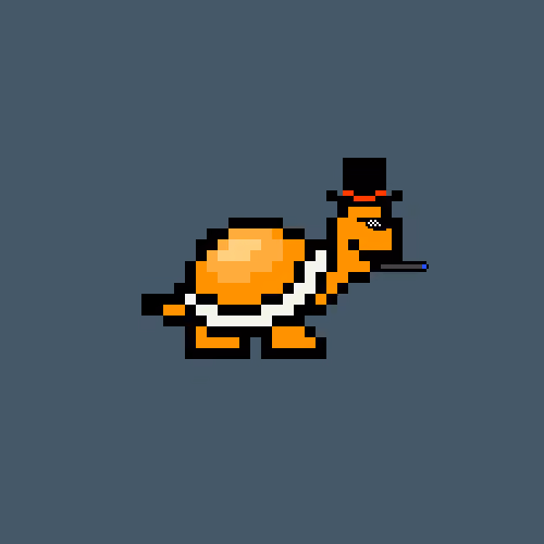 Turtle #678