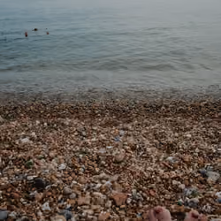 Brighton #99