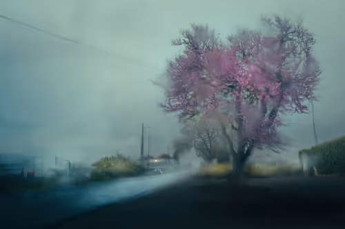 Item #21434562732768092237796646389615295837172194009472608172260032488223732137985 Media