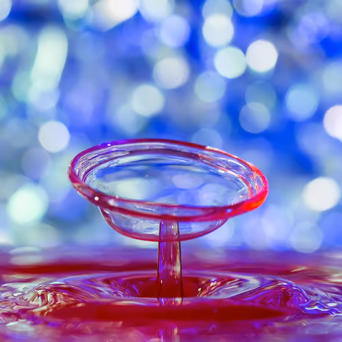 Wine Glass