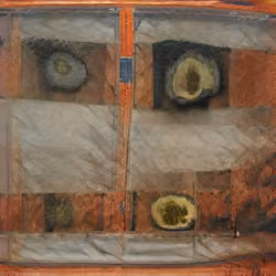 Curated content? The Display Case