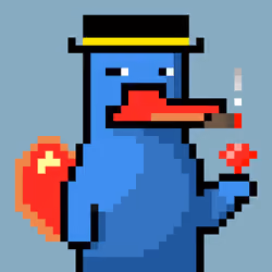 Platy Punk #474
