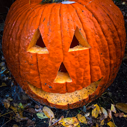 Pumpkin🎃 