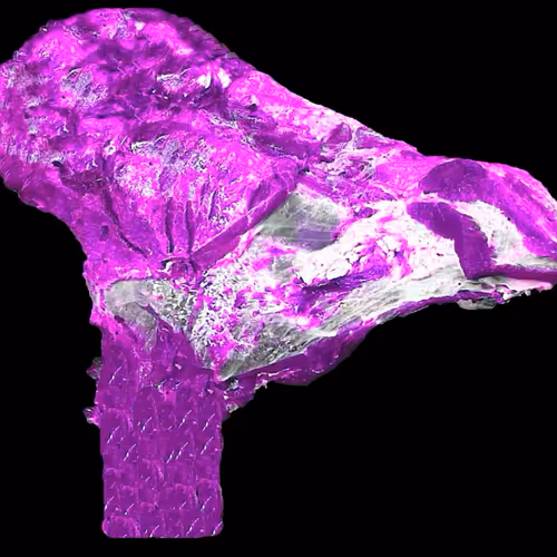 18063966590187803564983313972252836895288362682890717819958697119712557400065