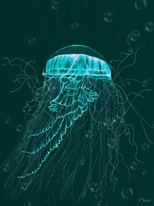 Item #113233535435930126246803406212525192330824104616936385021501681242993967759361 Media