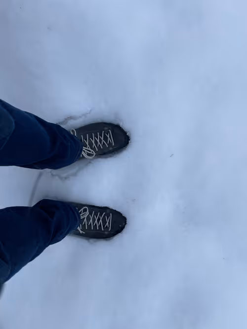 Item #80071256485476644989088818969487643021348870413241562376269146265227345526785 Media