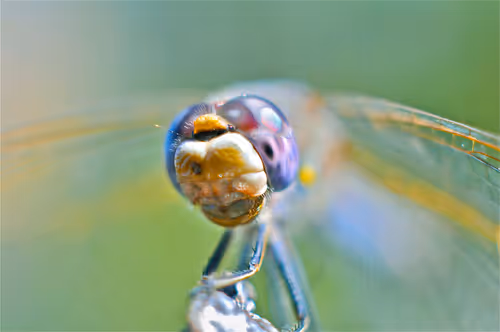 Item #92971587401879212914465603849674525645265351012255145539777938552028628254721 Media