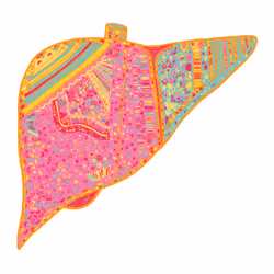 Liver #81