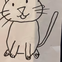 cooler cat