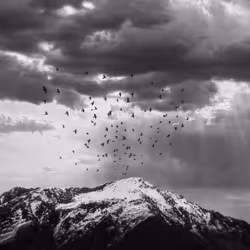 107589578497142127915289393479888094113109607198782176209649620615365501386753