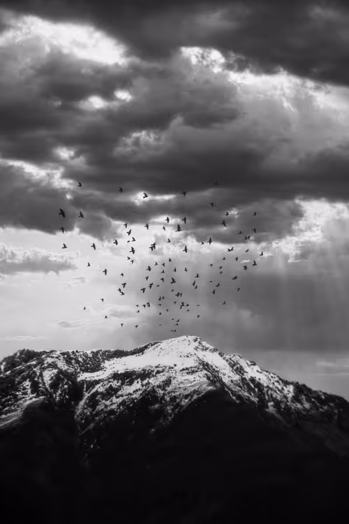 Item #107589578497142127915289393479888094113109607198782176209649620615365501386753 Media