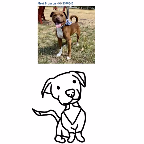 bronson