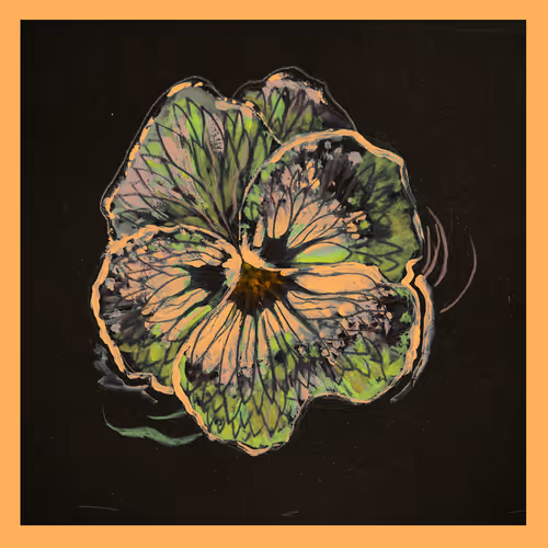 Item #5779281467826994107992422148601232503379904017104496064971971886812009332737 Media