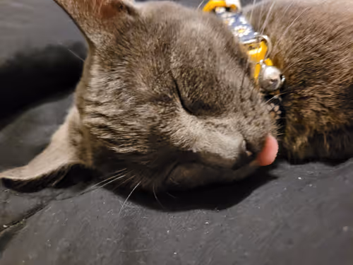 Item #65060042108644582213581044861185257921099202751223028038730296726870191767553 Media