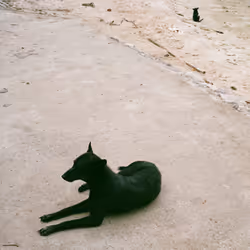 Twin on beach.