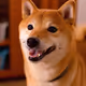34470142884482375674331152583341387110725961593908059002011227515863059922945