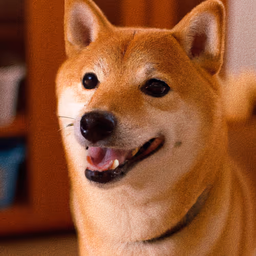 Item #34470142884482375674331152583341387110725961593908059002011227515863059922945 Media