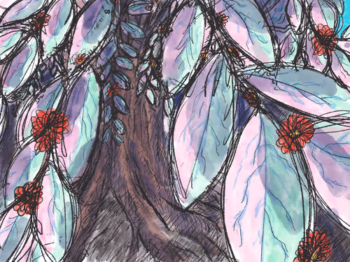 Untitled Collection #79765788