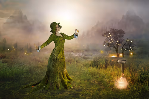 Item #4933213243915683557987239901112692196237142908517228743973971822081396965377 Media