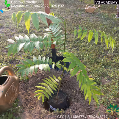 Item #8500196597889277390194123329501889087166328879864934763448348801726081400833 Media