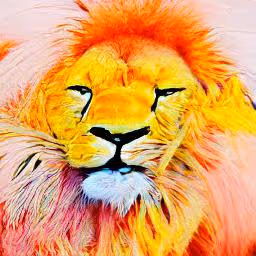 Item #105951441729112195781636598928686088081958485576967062339668806894415299739649 Media