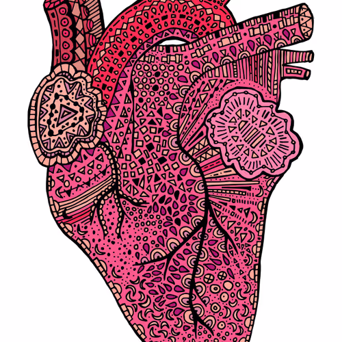 Anatomical Heart #79