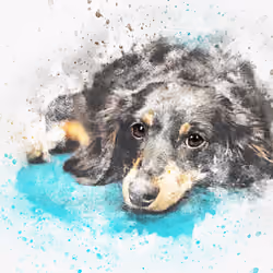 dog