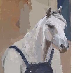 Equus ferus caballus